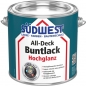 Preview: SÜDWEST All-Deck Buntlack Hochglanz K60 RAL 7035 125 ML