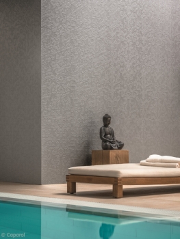 Preview: Caparol Capadecor CapaSilber