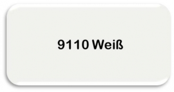 SÜDWEST Acryl All-Grund Spray 9110 weiß U50